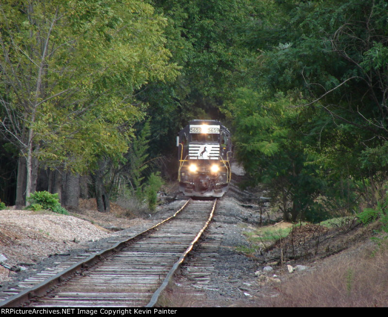 NS 5659